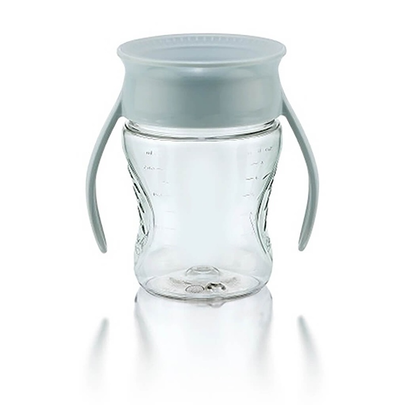 Agave Victoriae - Succulent Plant