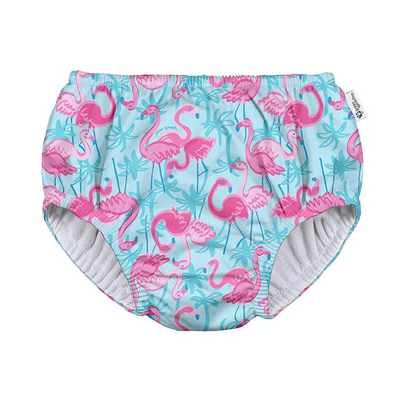 Drumsticks, Moringa Oleifera - Plant