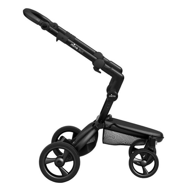 Pteris cretica crestata - Plant