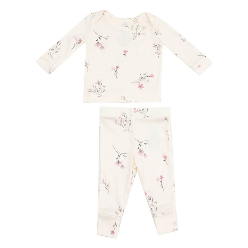 Money plant marble prince, Scindapsus n joy - Plant