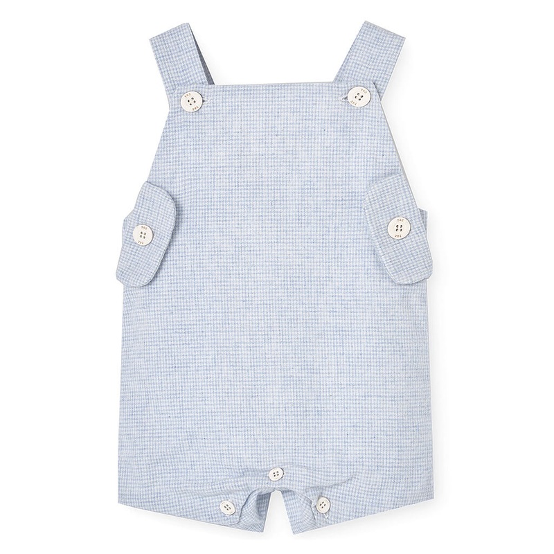 Aptenia, Heartleaf Ice - Succulent Plant