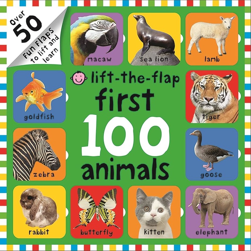 First 100 Words Lift-the-Flap Board Book