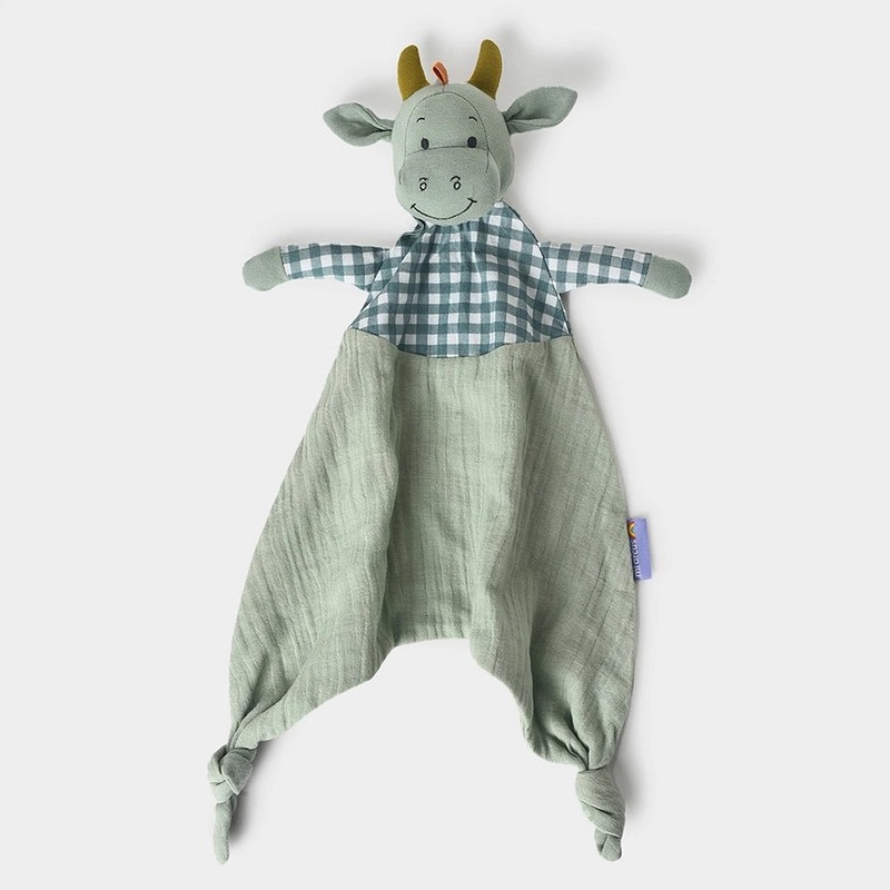 Playful Dino Comfort Blanket Green