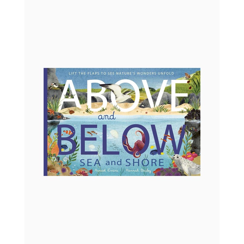 Above and Below: Sea and Shore Lift The Flap Book