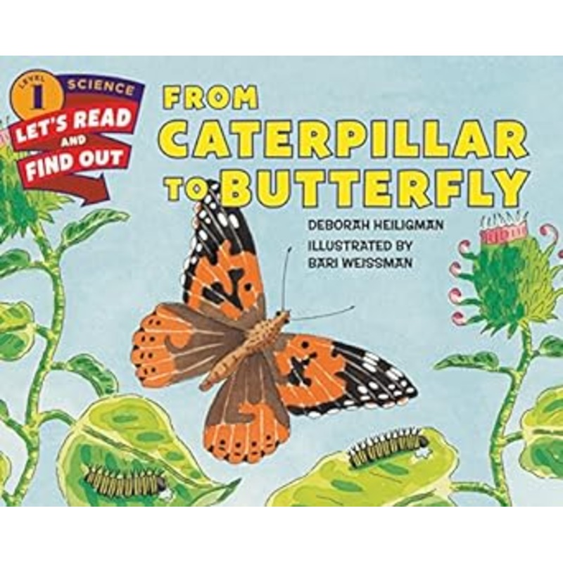 FROM CATERPILLAR TO BUTTERFLY BIG BOOK