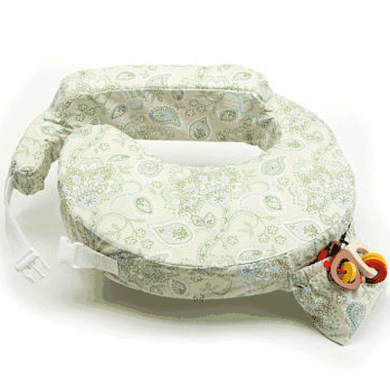 My Brest Friend Slipcover in Green Paisley