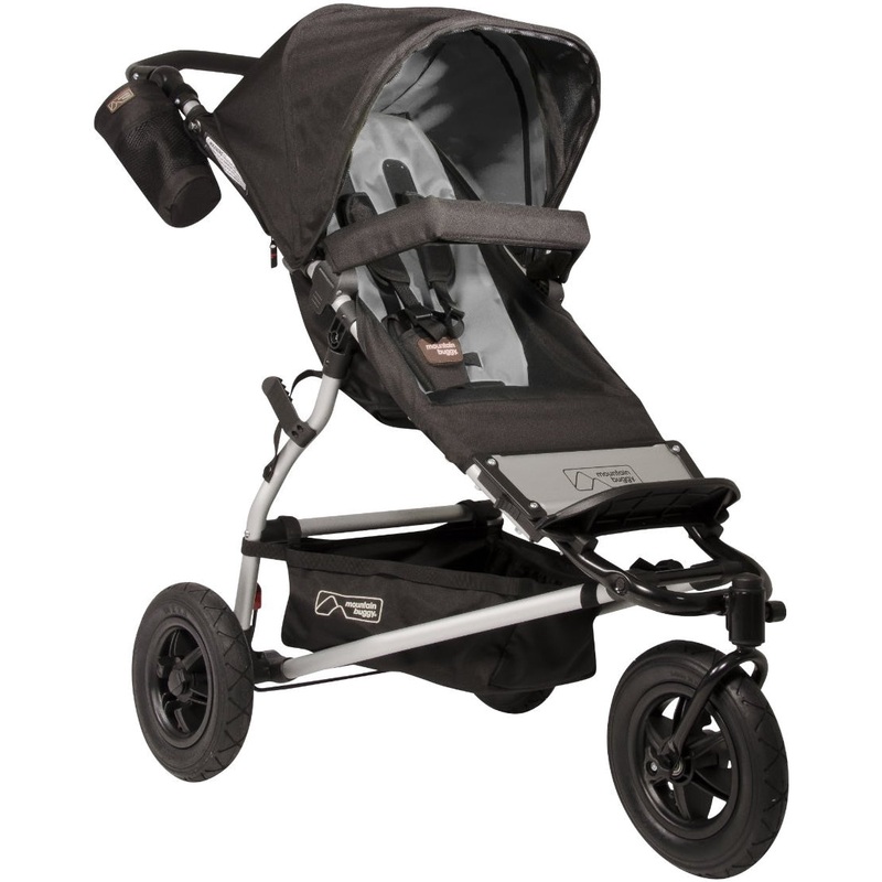 Mountain Buggy 2013 Swift Stroller - Flint