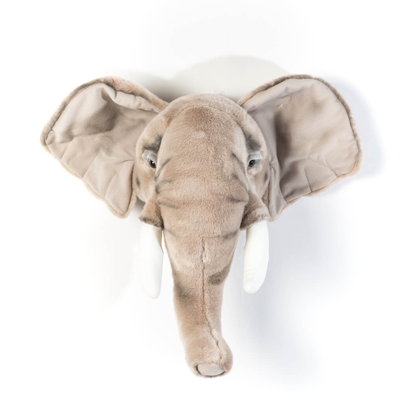 Animal Head - Elephant