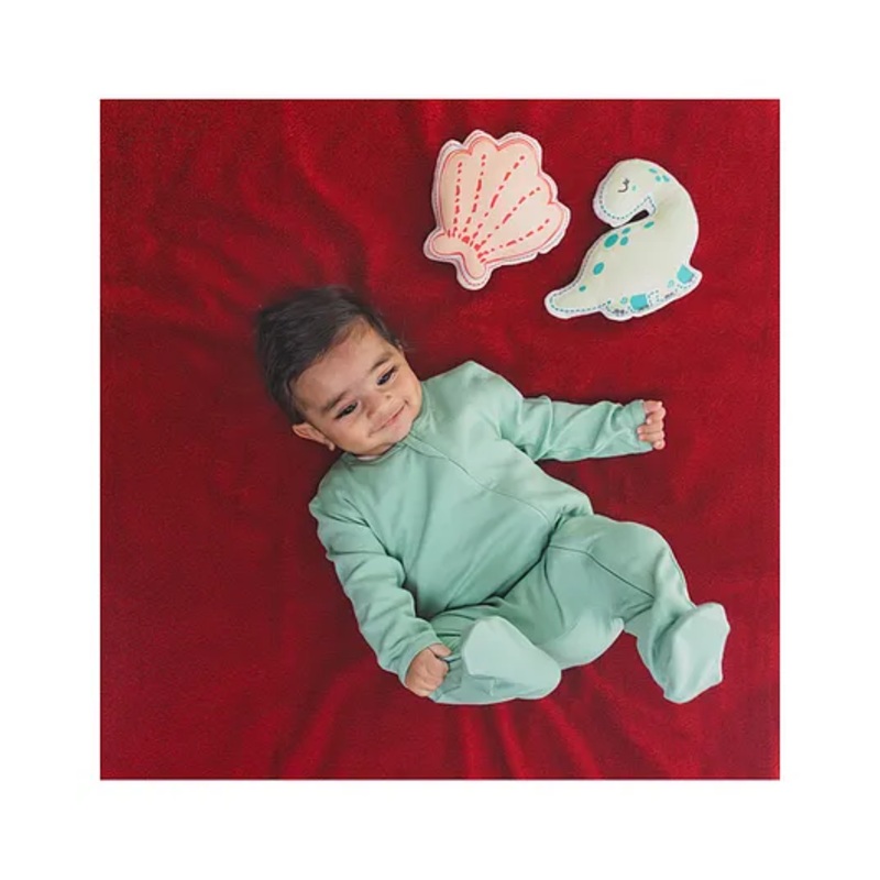 TIDY SLEEP Waterproof Baby Bed Protector Dry Sheet For New Born Babies- Cherry Red (Small)